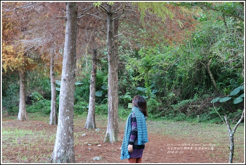 光復森林公園-2018-01-30.jpg 光復森林公園-2018-01-30.jpg