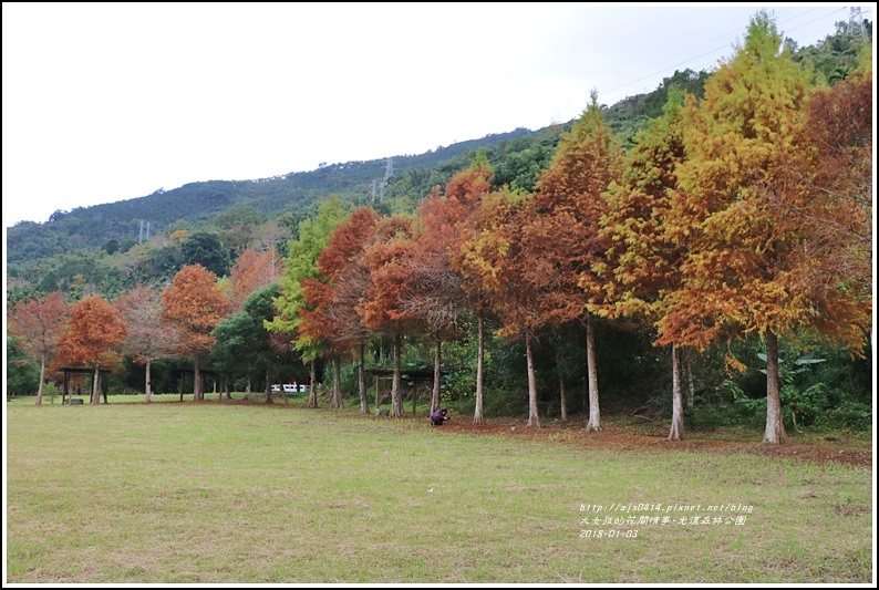 光復森林公園-2018-01-34.jpg