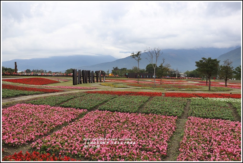 大農大富平地森林主題花海-2017-12-01.jpg