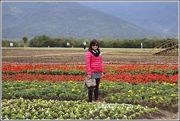 大農大富平地森林主題花海-2017-12-09.jpg