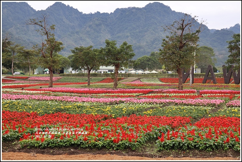 大農大富平地森林主題花海-2017-12-12.jpg