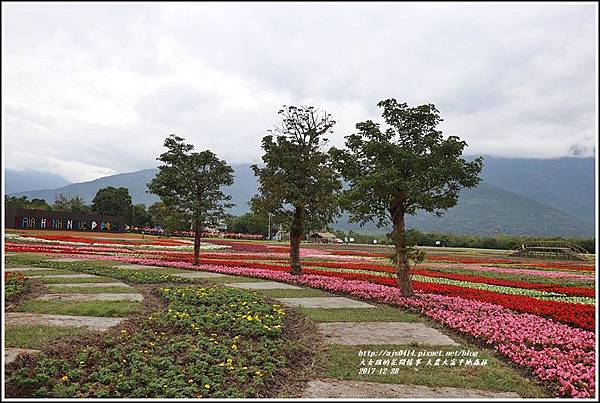 大農大富平地森林主題花海-2017-12-17.jpg