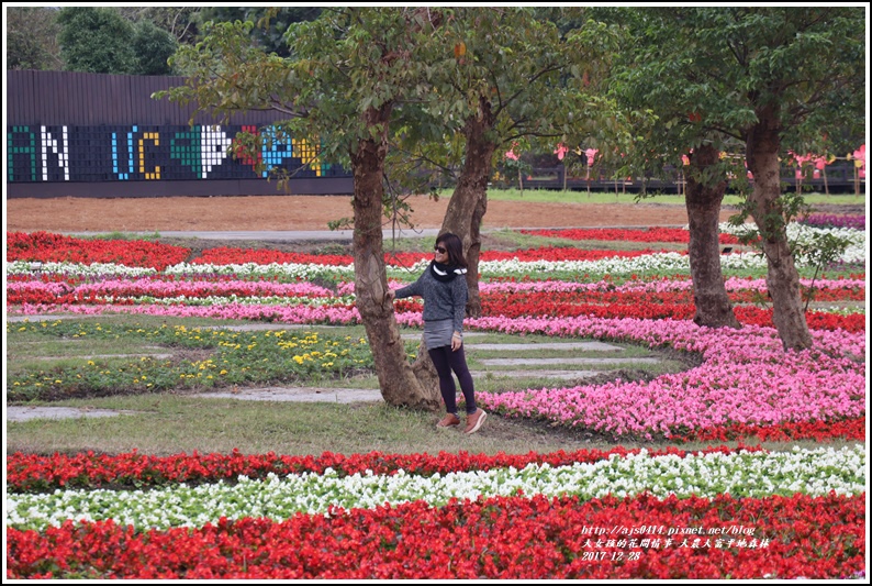 大農大富平地森林主題花海-2017-12-31.jpg