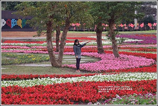 大農大富平地森林主題花海-2017-12-30.jpg