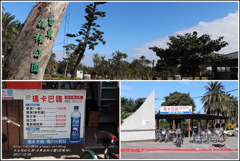 台東森林公園(琵琶湖)-2017-12-01.jpg 台東森林公園(琵琶湖)-2017-12-01.jpg