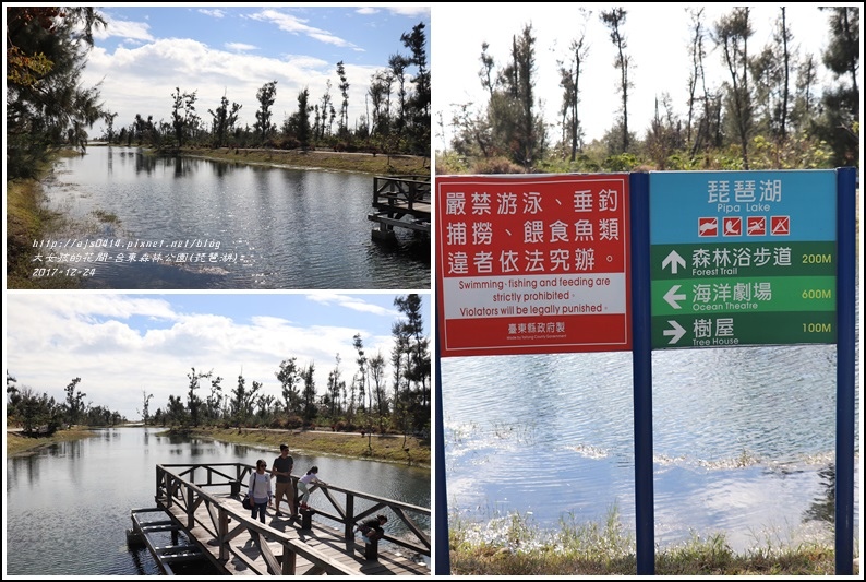 台東森林公園(琵琶湖)-2017-12-03.jpg 台東森林公園(琵琶湖)-2017-12-03.jpg