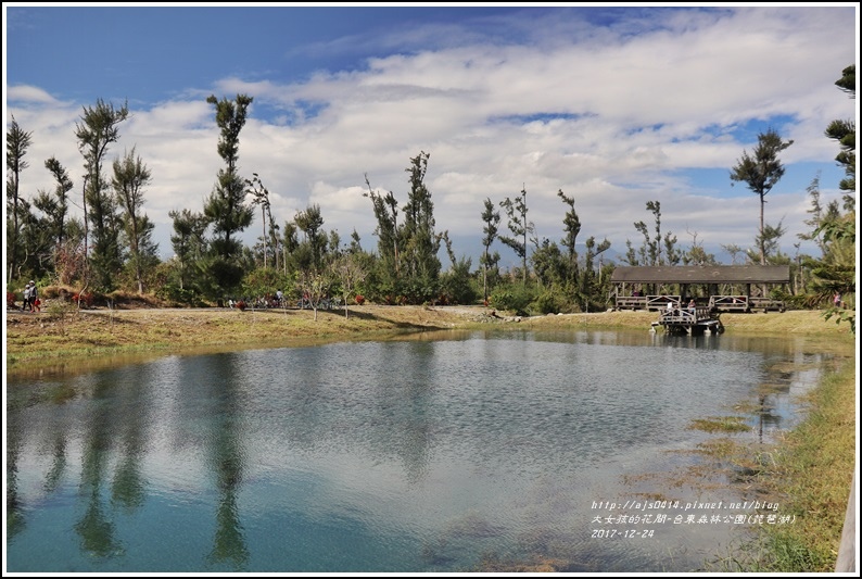 台東森林公園(琵琶湖)-2017-12-07.jpg 台東森林公園(琵琶湖)-2017-12-07.jpg