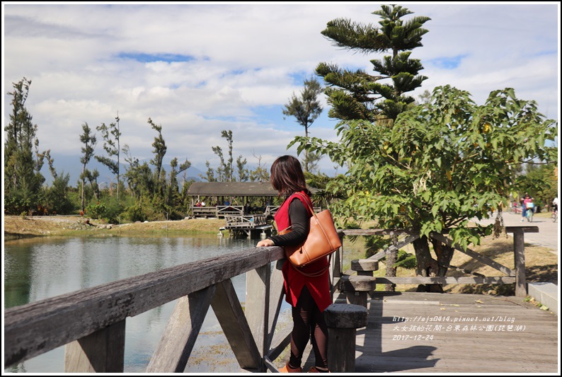 台東森林公園(琵琶湖)-2017-12-09.jpg 台東森林公園(琵琶湖)-2017-12-09.jpg