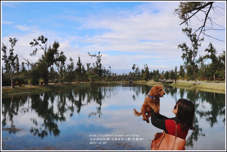 台東森林公園(琵琶湖)-2017-12-15.jpg 台東森林公園(琵琶湖)-2017-12-15.jpg