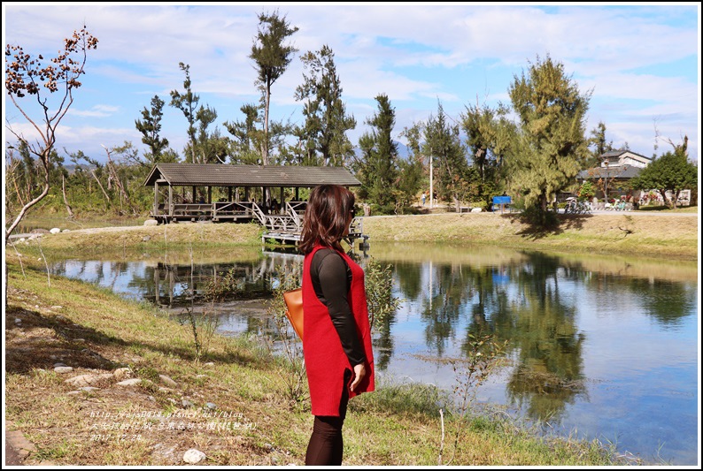 台東森林公園(琵琶湖)-2017-12-21.jpg 台東森林公園(琵琶湖)-2017-12-21.jpg