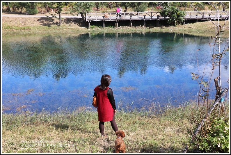 台東森林公園(琵琶湖)-2017-12-23.jpg 台東森林公園(琵琶湖)-2017-12-23.jpg