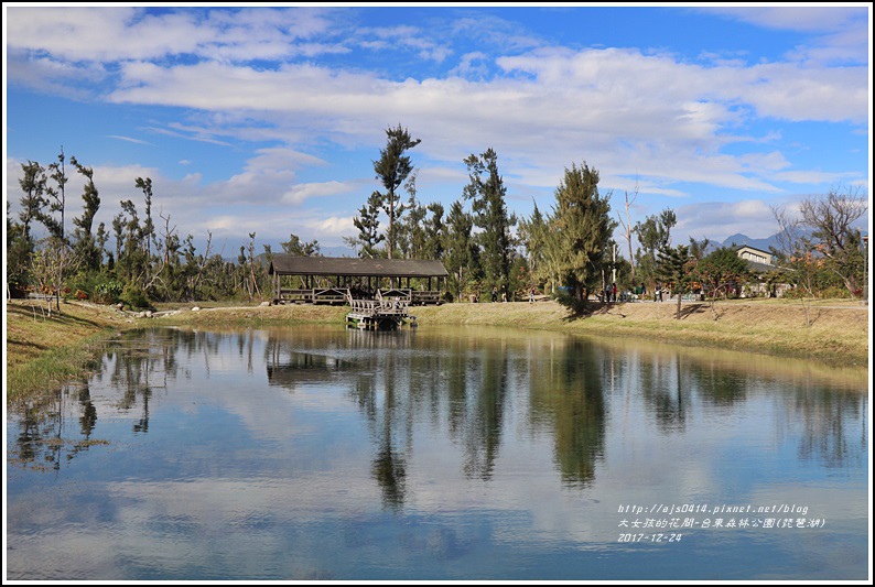 台東森林公園(琵琶湖)-2017-12-24.jpg 台東森林公園(琵琶湖)-2017-12-24.jpg