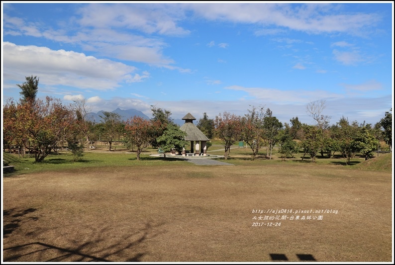 台東森林公園-2017-12-03.jpg 台東森林公園-2017-12-03.jpg