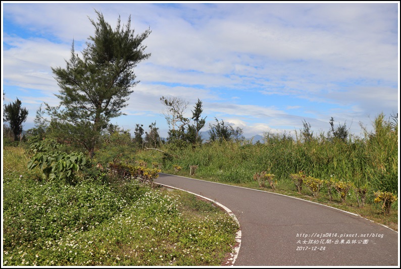 台東森林公園(活水湖)-2017-12-01.jpg