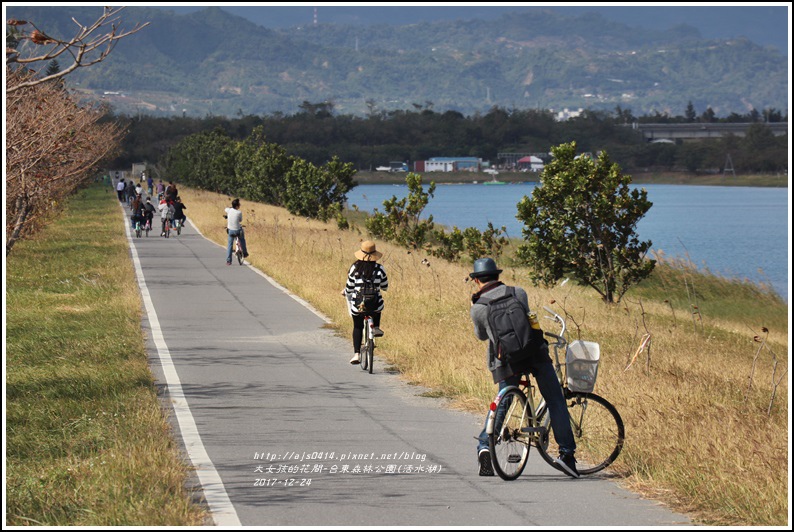 台東森林公園(活水湖)-2017-12-15.jpg 台東森林公園(活水湖)-2017-12-15.jpg