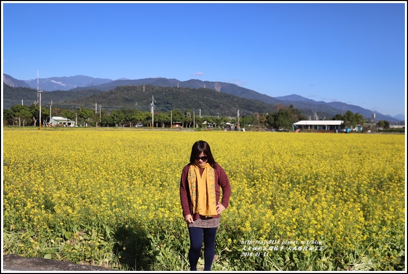 大禹路段油菜花-2018-01-02.jpg