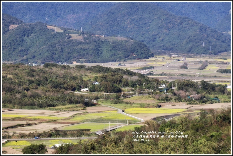 羅山大地-2018-01-01.jpg