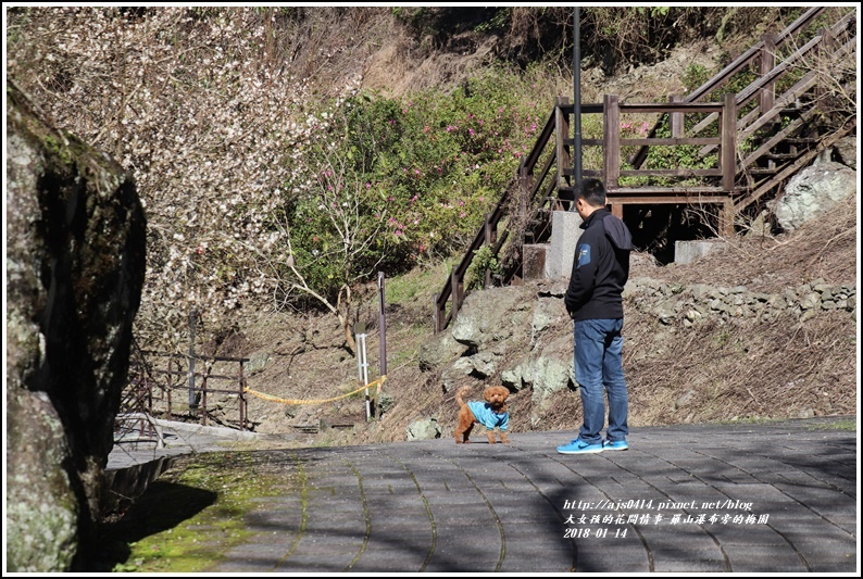 羅山瀑布(梅園)-2018-01-07.jpg