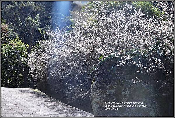 羅山瀑布(梅園)-2018-01-13.jpg