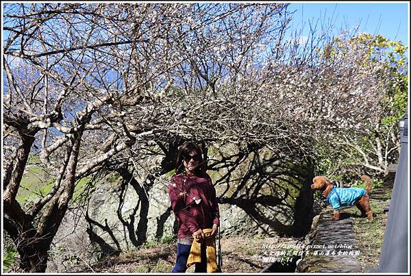 羅山瀑布(梅園)-2018-01-22.jpg