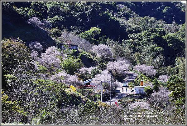 羅山瀑布(梅園)-2018-01-30.jpg