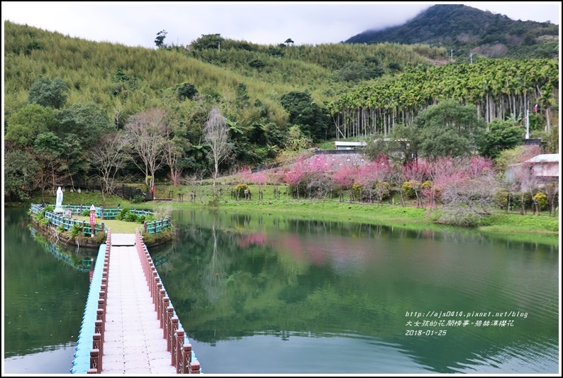 碧赫潭櫻花-2018-01-12.jpg