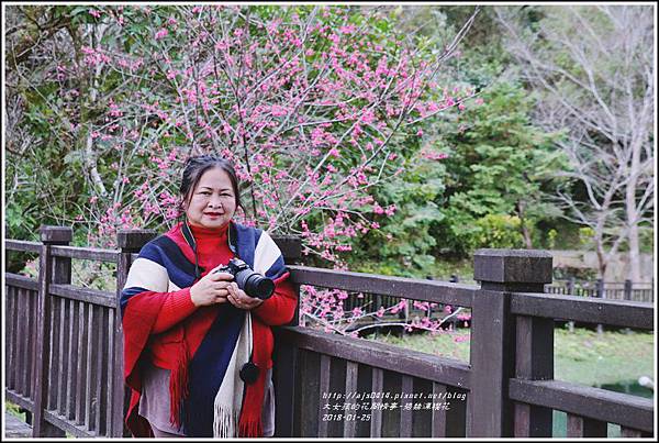 碧赫潭櫻花-2018-01-14.jpg