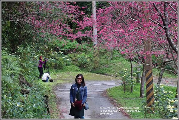 玉山神學院櫻花-2018-01-42.jpg