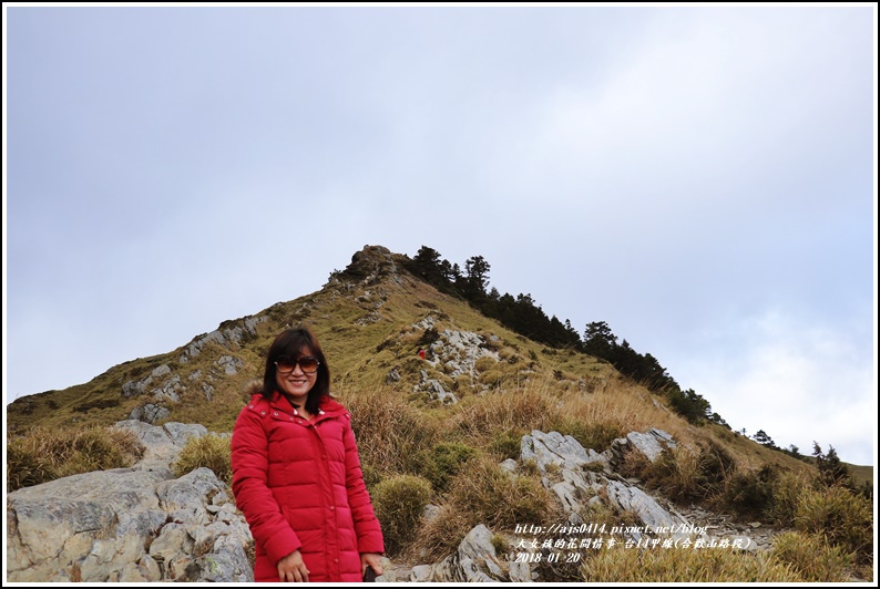 台14甲線(合歡山)-2018-01-37.jpg