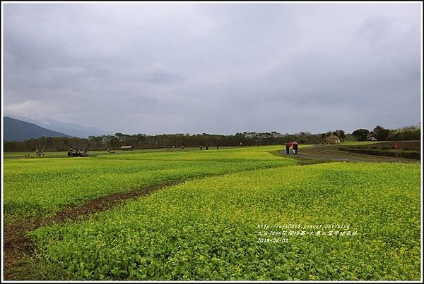 大農大富平地森林主題花海-2018-02-01.jpg