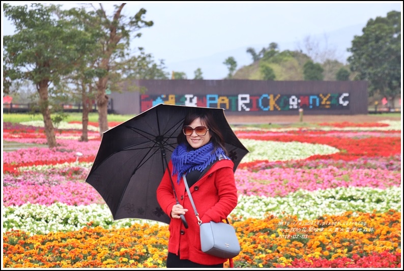 大農大富平地森林主題花海-2018-02-05.jpg