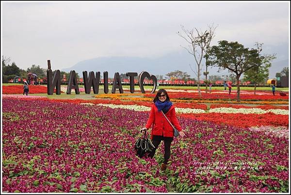大農大富平地森林主題花海-2018-02-07.jpg