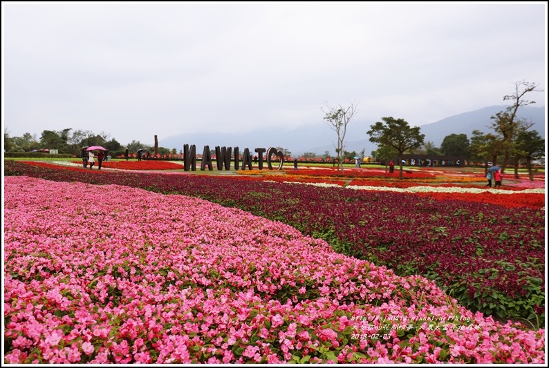 大農大富平地森林主題花海-2018-02-11.jpg