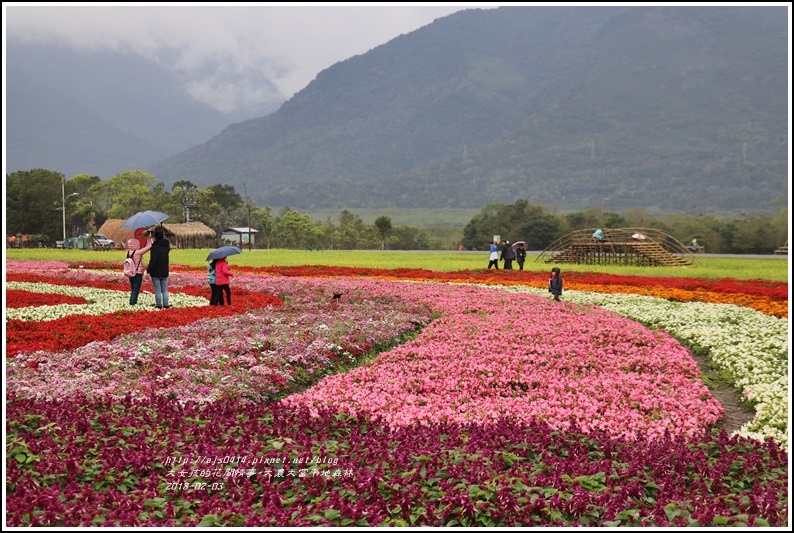 大農大富平地森林主題花海-2018-02-13.jpg