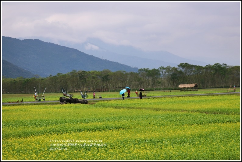 大農大富平地森林主題花海-2018-02-14.jpg