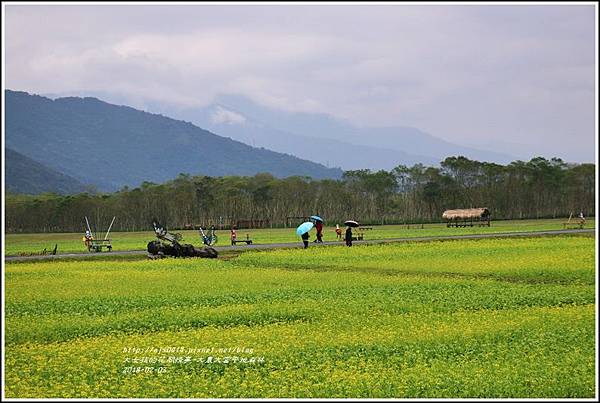 大農大富平地森林主題花海-2018-02-14.jpg