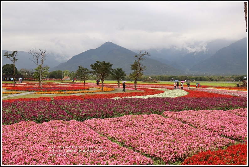 大農大富平地森林主題花海-2018-02-15.jpg