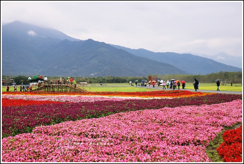 大農大富平地森林主題花海-2018-02-16.jpg