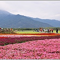 大農大富平地森林主題花海-2018-02-16.jpg