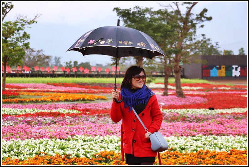 大農大富平地森林主題花海-2018-02-17.jpg