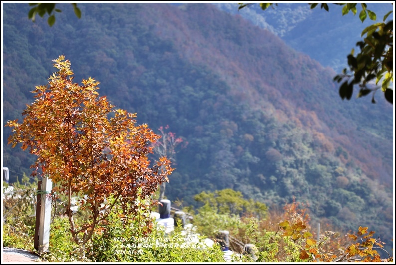 清境老英格蘭莊園-2018-01-10.jpg