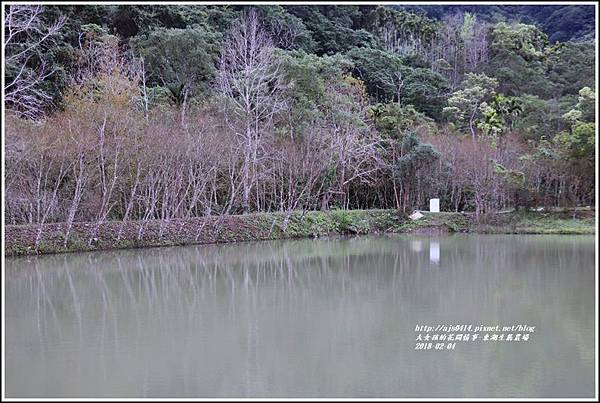 東湖生態農場-2018-02-19.jpg