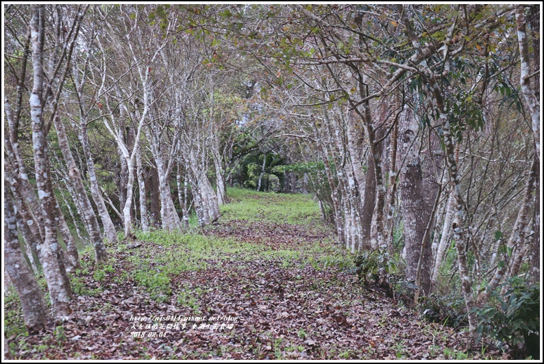 東湖生態農場-2018-02-28.jpg