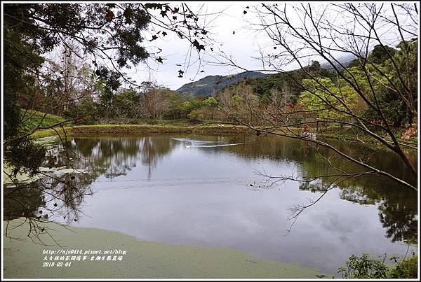 東湖生態農場-2018-02-58.jpg