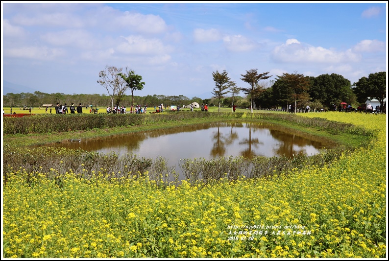 大農大富平地森林油菜花-2018-02-01.jpg