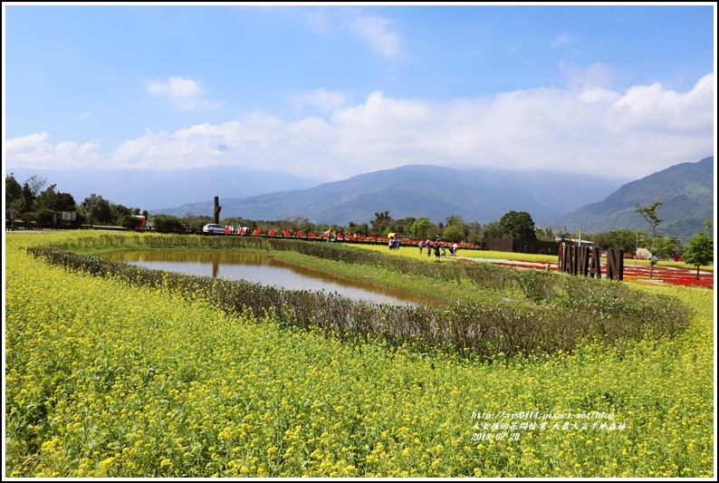 大農大富平地森林油菜花-2018-02-02.jpg