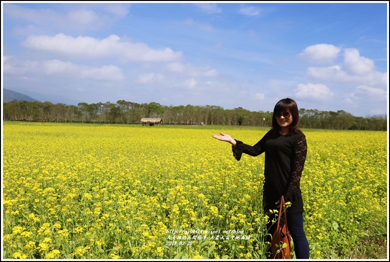 大農大富平地森林油菜花-2018-02-19.jpg