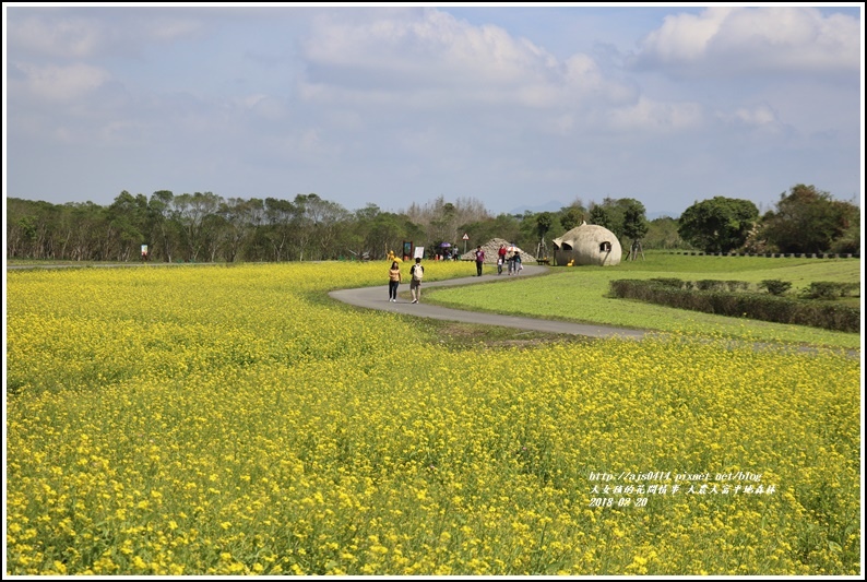 大農大富平地森林油菜花-2018-02-37.jpg