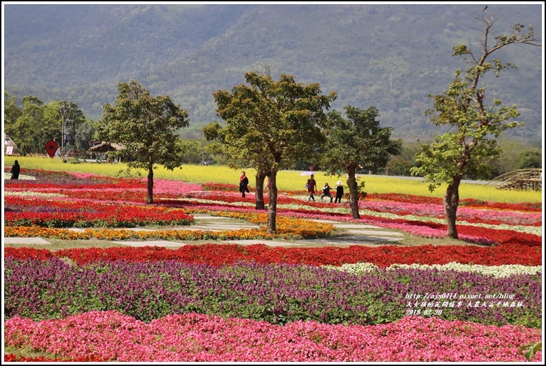 大農大富平地森林油菜花-2018-02-41.jpg