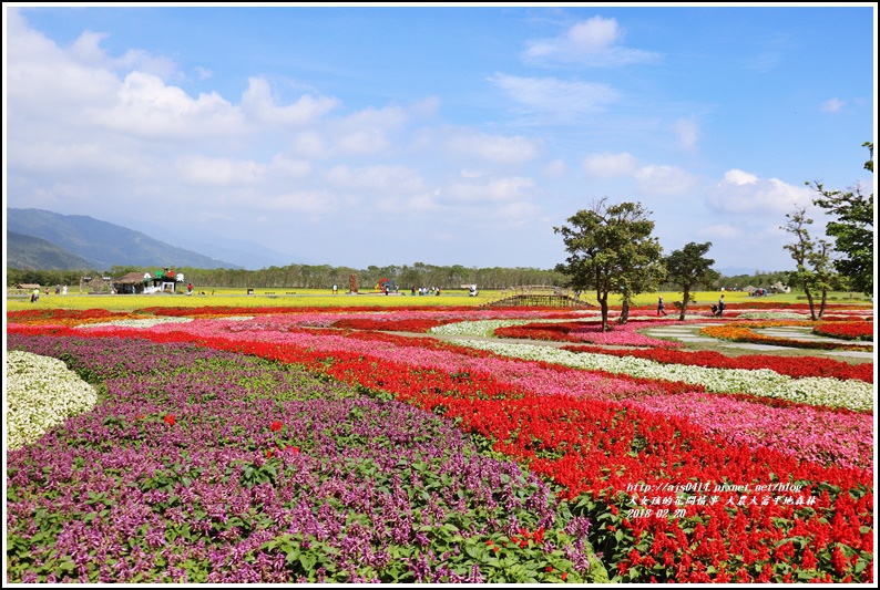 大農大富平地森林油菜花-2018-02-42.jpg